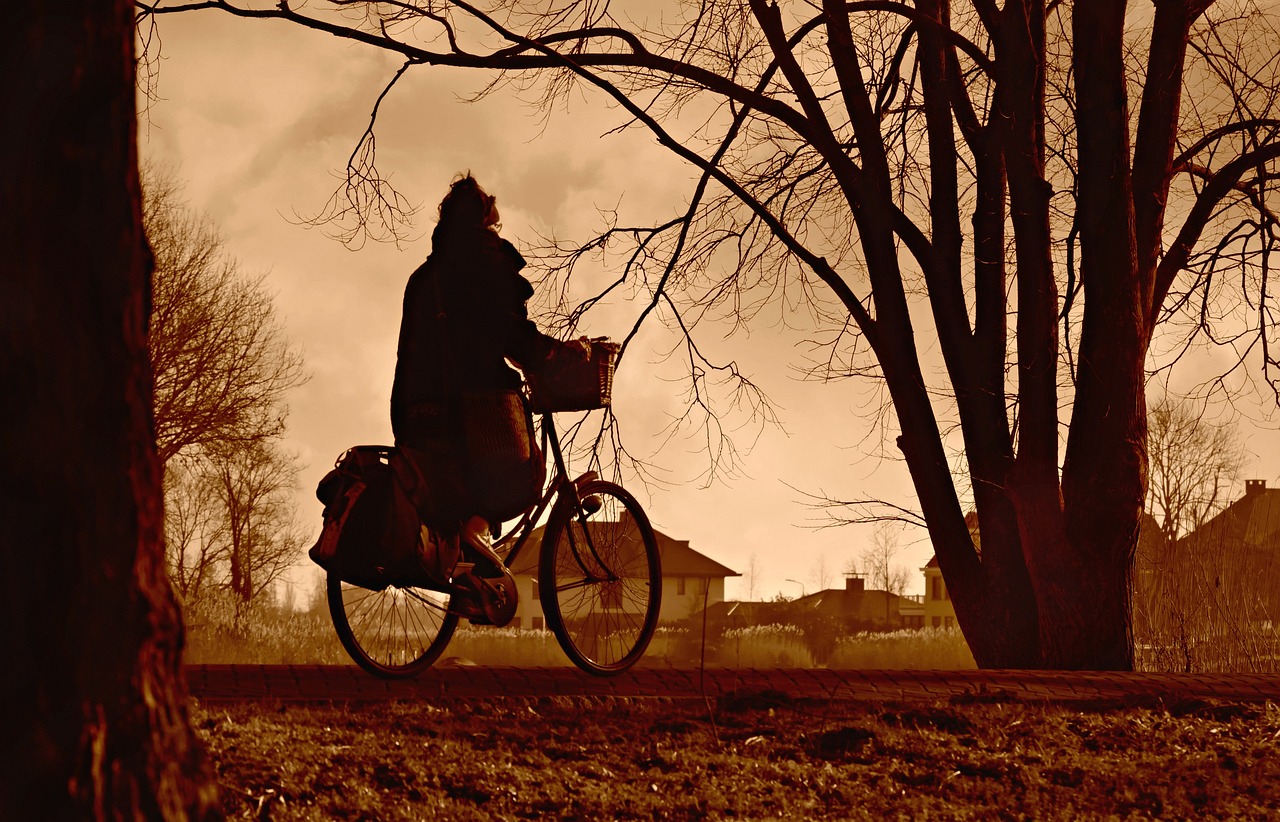 Precautions for Cyclists - Staying Safe on the Road